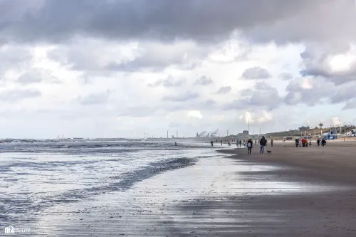 strand zvrt r noord