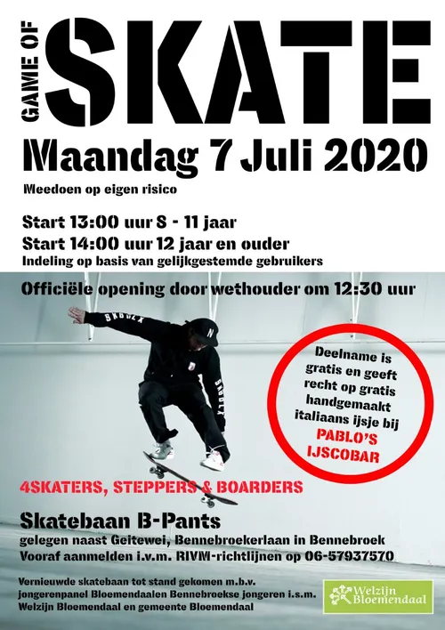 thumbnail flyer game of skate