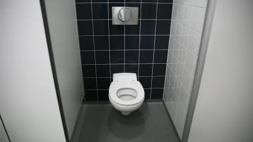 toilet