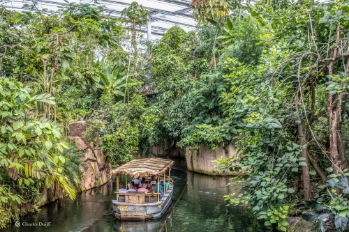 varen door jungle