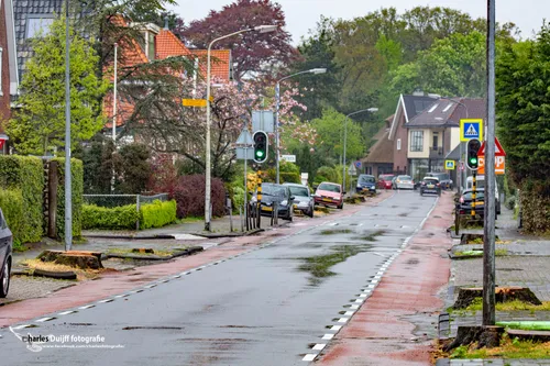 vogelenzangseweg dorp
