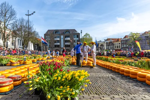 waagplein tulpen