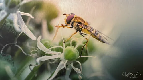 whatsapp image 2022 11 15 at 092650