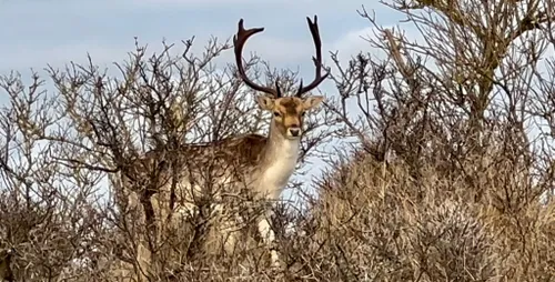 whatsapp image 2023 02 11 at 101109