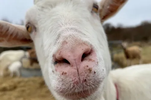 whatsapp image 2023 04 01 at 112258