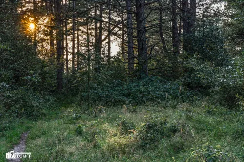 when autumn approaches