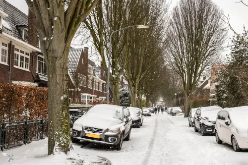 willem de zwijgerlaan