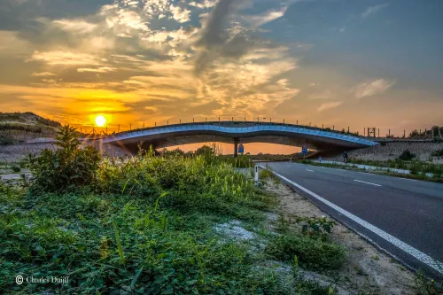 zeeweg natuurbrug sunset