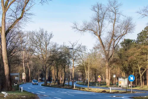 zeeweg verkeer 19 febr 21