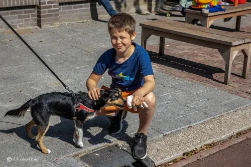 zoon met hond