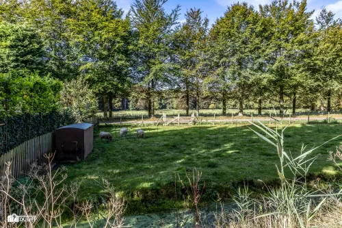 zuider tuindorpslaan b