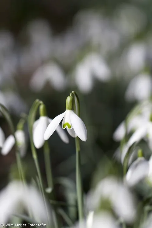 464938588 28085307011054551 8719895961748742669 n