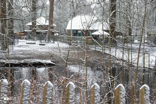 H Hout Kinderboerderij 2 SONY