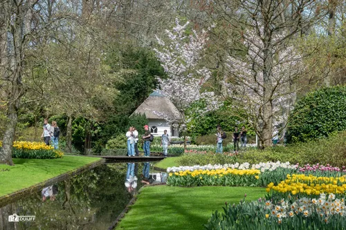 ART Bloesem tafereel