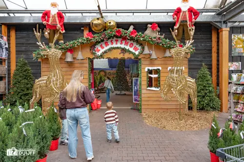 entree kerstshow