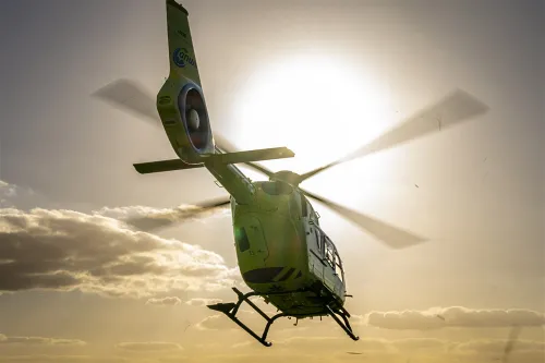 download 111156 s1000x1000