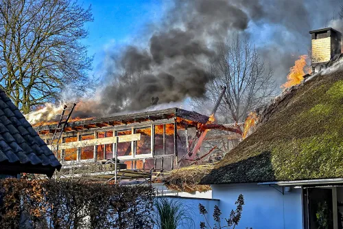 download scaled 1000x1000 68650