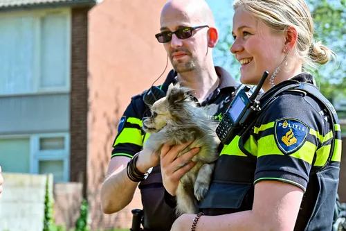 tom van der put 20220424103131 0