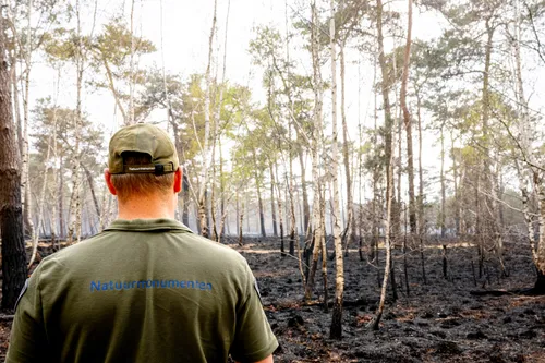 Een beheerder van Natuurmonumenten bekijkt het door brand verwoeste gebied