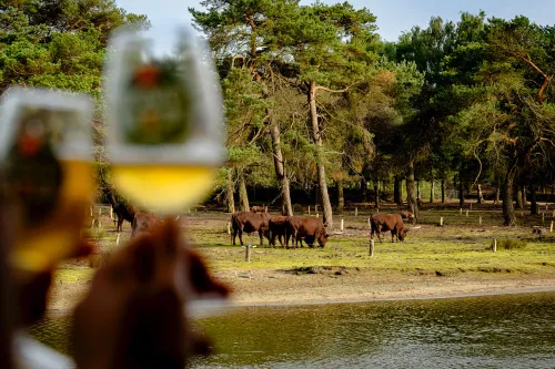 Tijdens de (bier)boottocht dobber je met een biertje in de hand langs de dieren