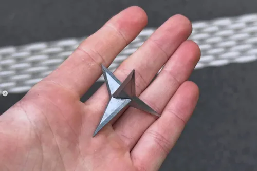 Kraaienpoten_Koninklijke_Marechaussee_1