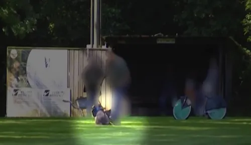 Zembla_videostill_2hond_schop