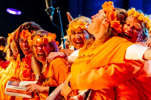 Hilariteit tijdens de vertolking van 'My Heart Will Go On' van Celine Dion