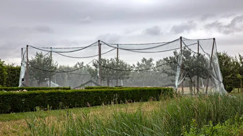 5i5a5700 netten 1024x576 1