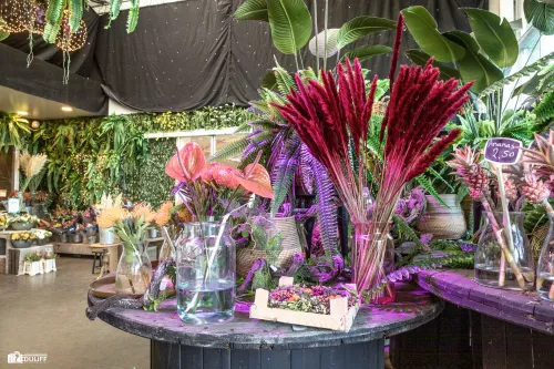 bloemen kleurrijk