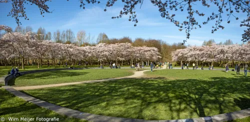 bloempark pano1 wim meijer fotografie