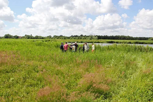 excursie eetbare planten klaas ros kopieren
