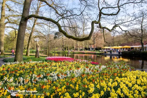 keukenhof1