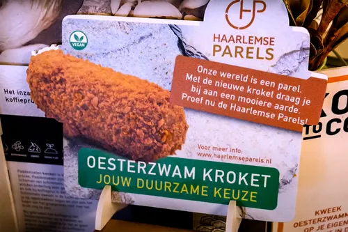 oesterzwamkroket