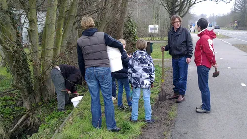 paddenbescherming vergt aandacht van vrijwilligers foto archief lnh