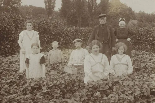 pb raa foto 1 familie zonneveld 1905