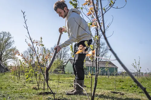 pluktuin van geesje 43