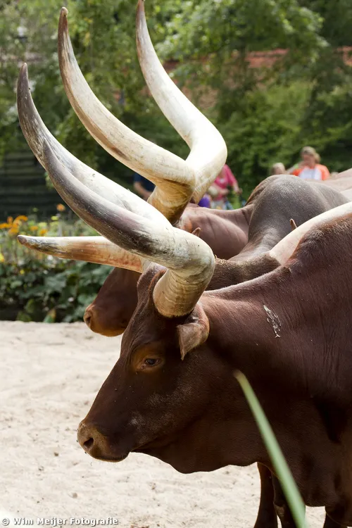 tumblr mw1nwpepga1svvyvco3 1280