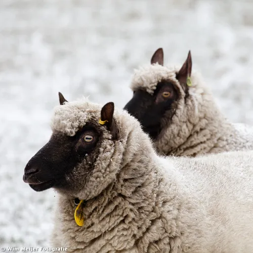 tumblr mw1nwpepga1svvyvco8 1280