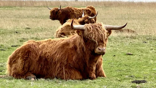 whatsapp image 2023 04 01 at 112254