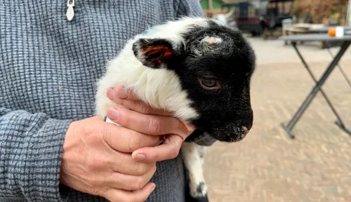 whatsapp image 2023 04 01 at 112256 1