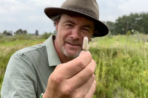 whatsapp image 2023 07 29 at 093427 kopieren