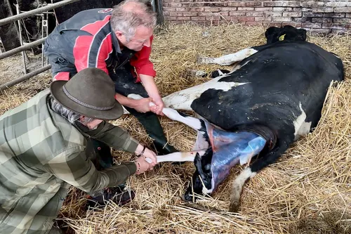 whatsapp image 2023 11 04 at 171806