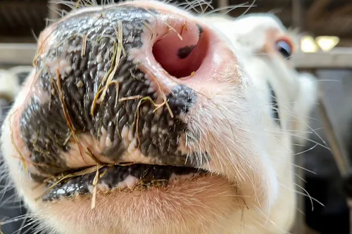 whatsapp image 2023 11 04 at 171807 1