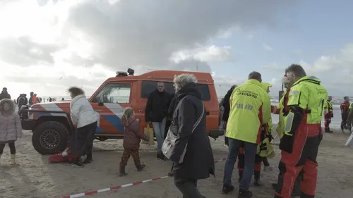 whatsapp image 2024 01 01 at 183853 5