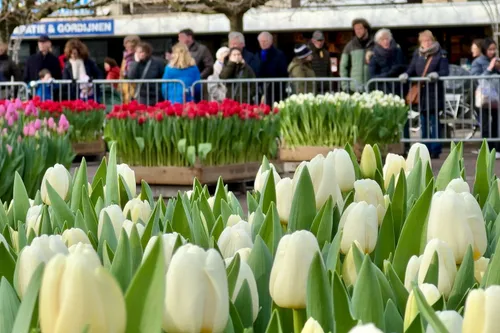 whatsapp image 2024 01 20 at 155046