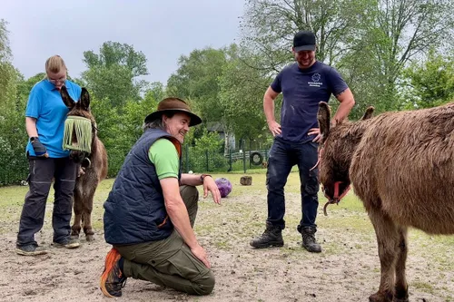 whatsapp image 2024 05 18 at 110037