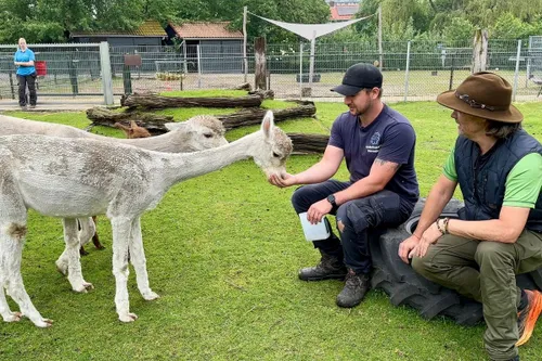 whatsapp image 2024 05 18 at 110038