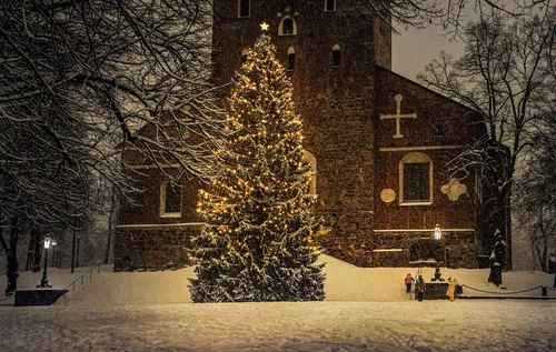christmas tree 6895765 1920 kopie