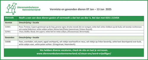 dieren 13 1 1