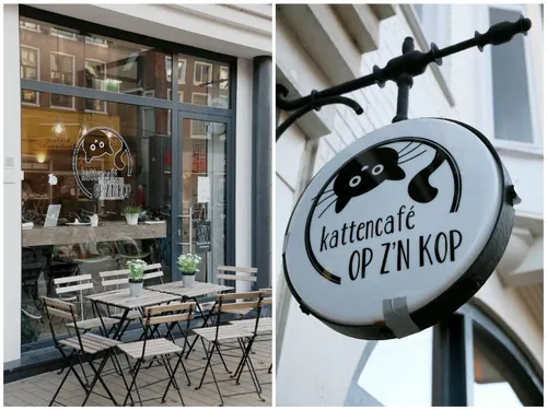Kattencafé op z'n kop